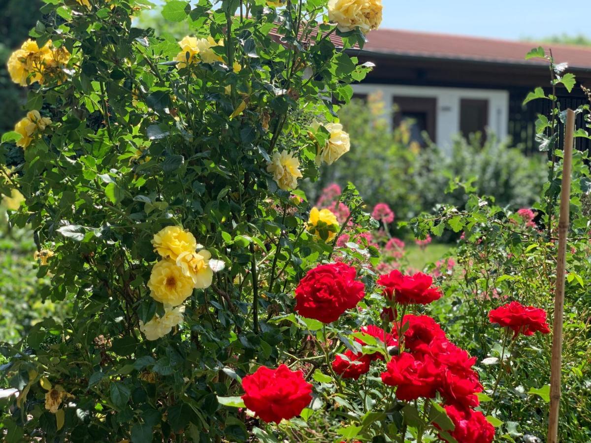 Ferienapartments Querleben Mirow Dış mekan fotoğraf